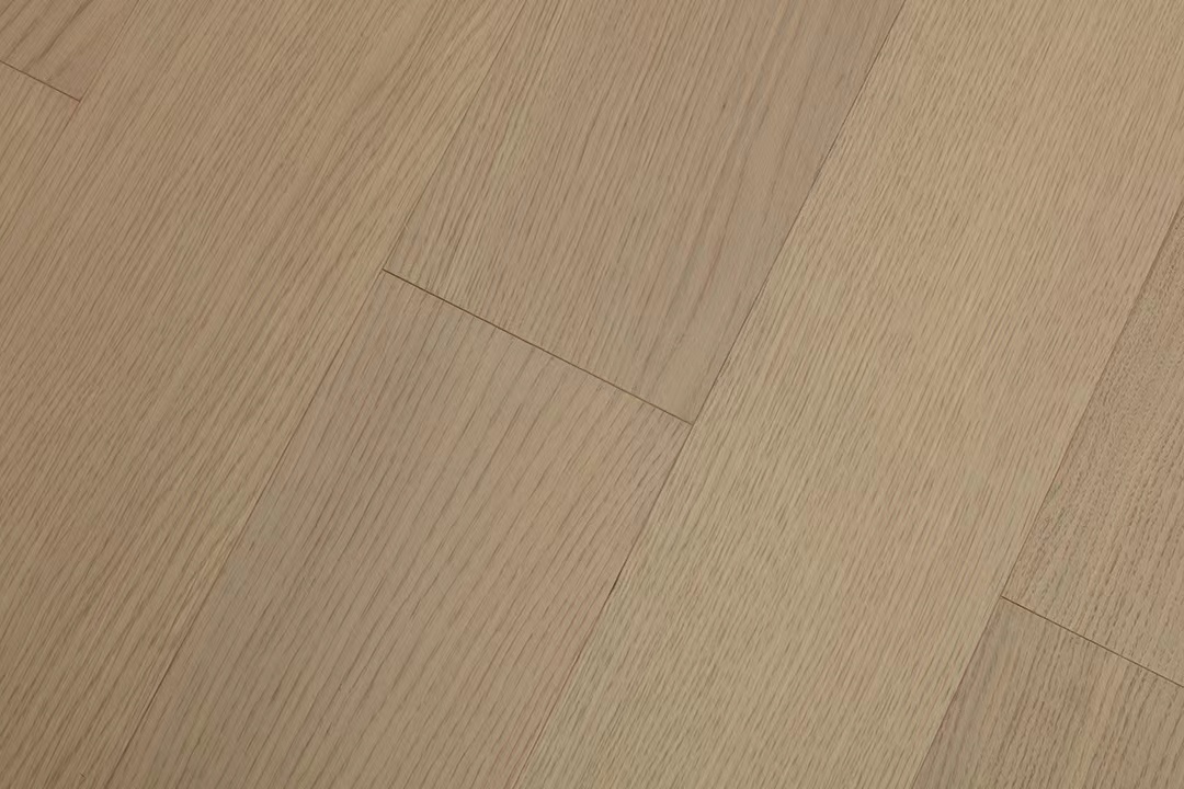 ZX610直紋-1.jpg ZX610直紋-1.jpg