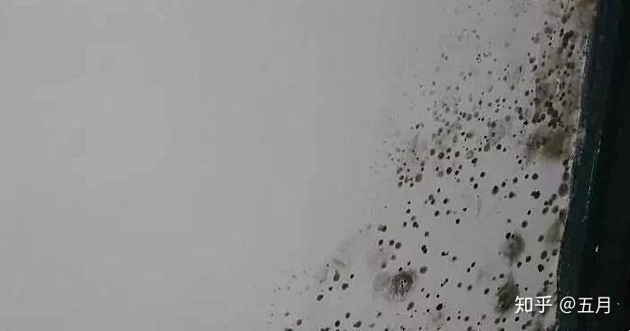 舊房改造裝修_舊房改造裝修費用標(biāo)準(zhǔn)_60平米舊房改造裝修