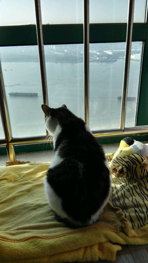 臺(tái)球廳簡單裝修圖片_簡單裝修圖片_小客廳簡單裝修圖片