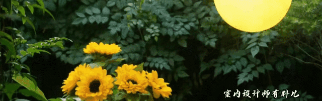 她買下一樓60平方米院子，打造成絕美花園，連陽臺(tái)、客廳也不放過